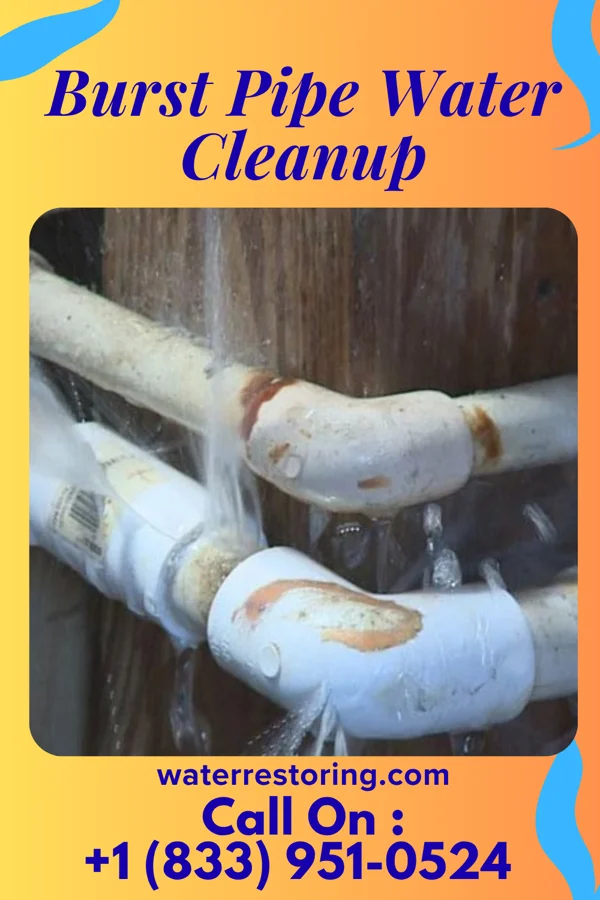 Burst Pipe Water Cleanup in Union Deposit, PA