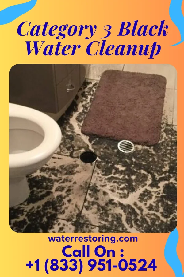 Category 3 Black Water Cleanup in Union Deposit, PA