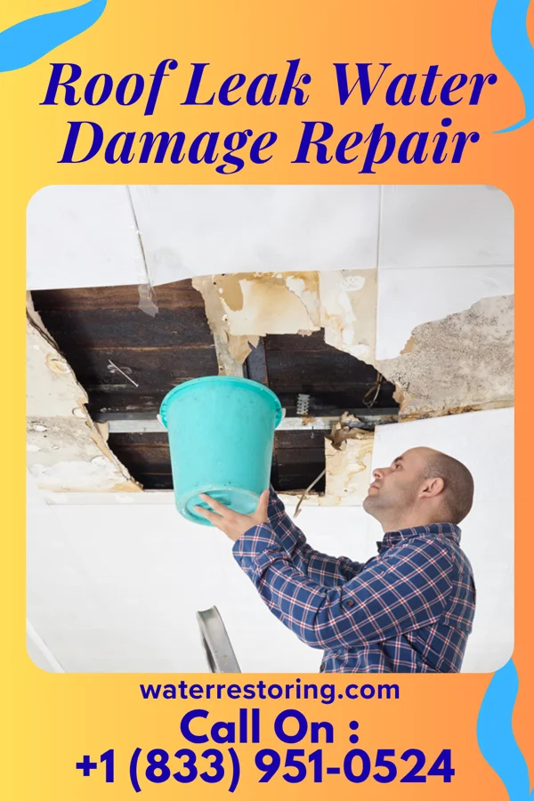 Roof Leak Water Damage Repair in Union Deposit, PA