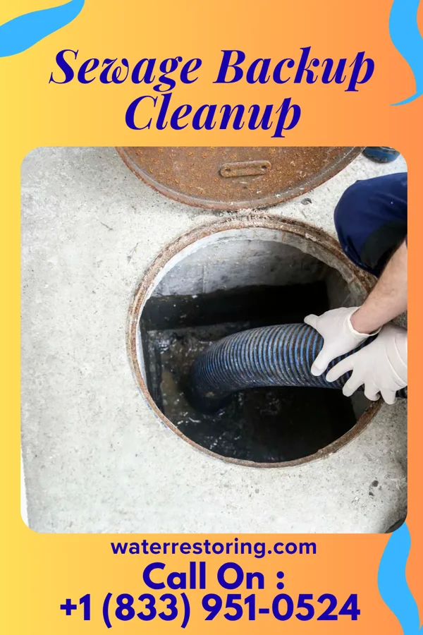 Sewage Backup Cleanup in Union Deposit, PA